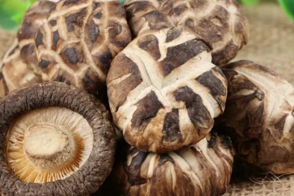 花菇会过期吗 花菇过期了还能不能吃