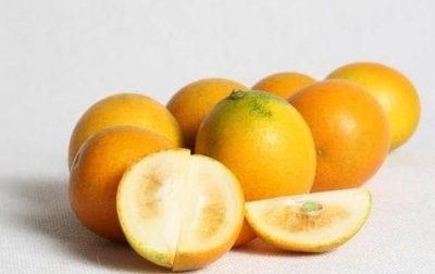 ​吃了金桔能喝牛奶,金桔可以跟牛奶一起吃吗
