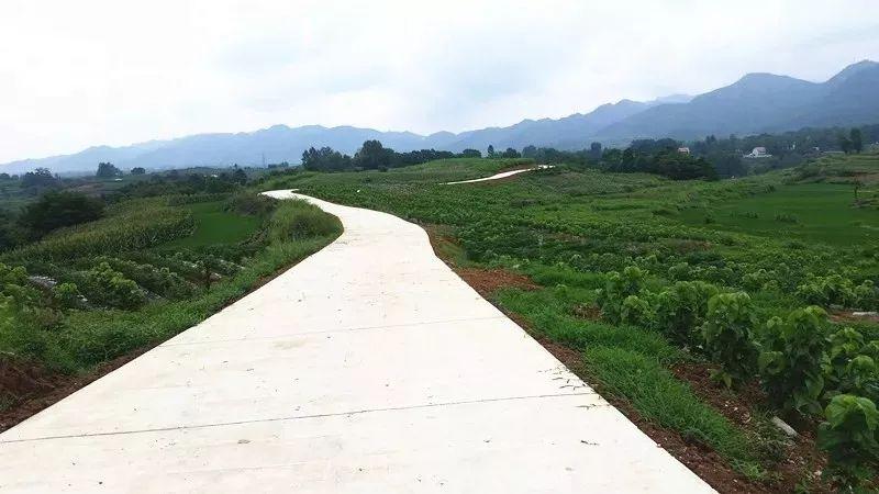 镇川镇属于哪个县(镇川镇属于米脂吗)