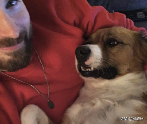 黄蜂女演员道歉说了什么_不守规矩的公众人物有哪些