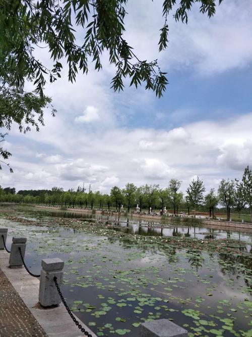 亮点四:金牛湖公园