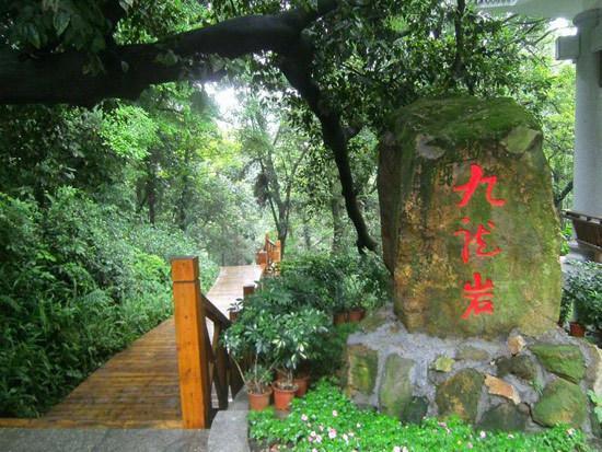 4、西樵山国家森林公园