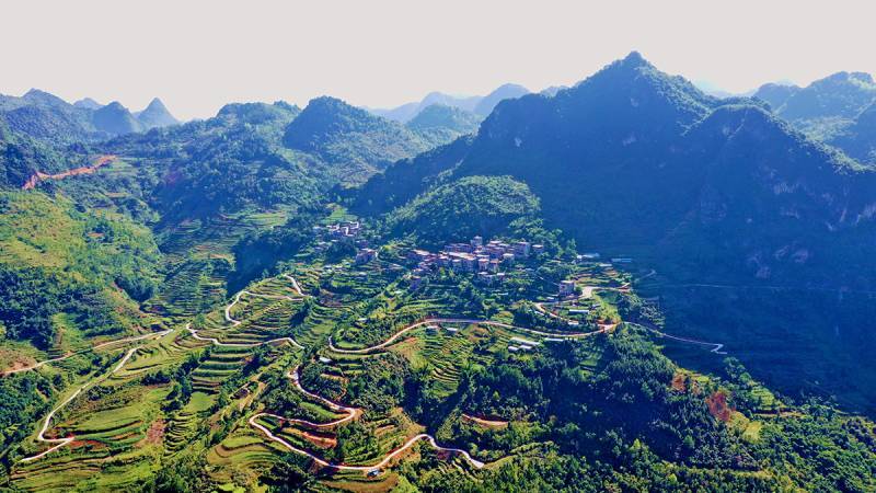 那坡县属于哪个市(广西那坡县属于哪个市)