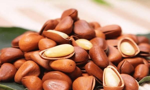 松子生的可以吃吗,松子能生吃