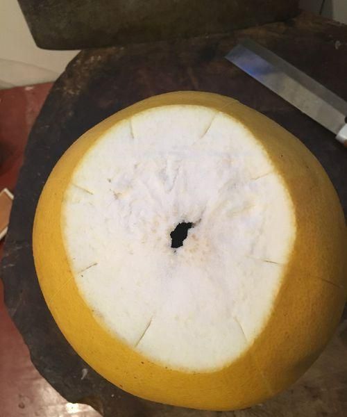 秋天柚子怎么保存