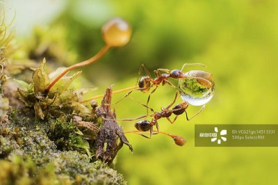 ​故事育人：犹太人为什么聪明？