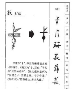 ​菽是什么意思怎么读,黍稷麦菽稻分别是怎么读的