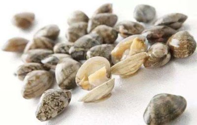 ​花甲和花蛤的区别(花蛤和花甲有什么区别?)