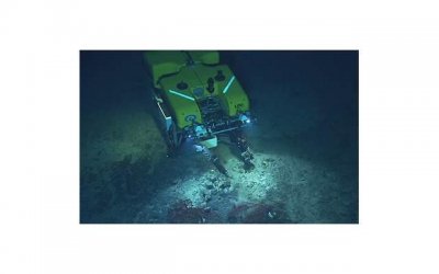 ​哺乳期间，男方提出离婚违法吗