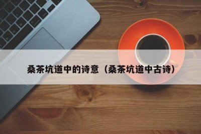 ​桑茶坑道中的诗意（桑茶坑道中古诗）