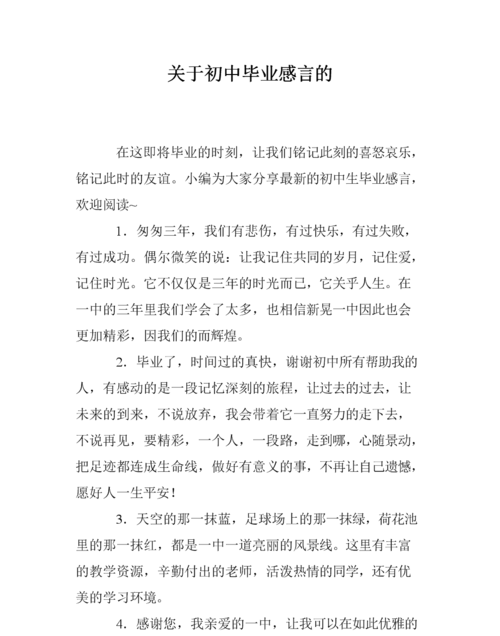 初中最后一年的感想