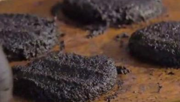 室内小蠓虫怎样去除,房间有小虫子怎么处理图片图6