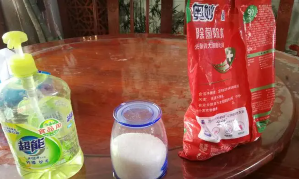 室内小蠓虫怎样去除,房间有小虫子怎么处理图片图2