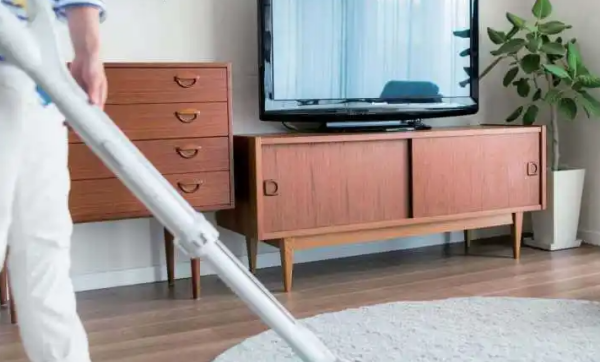 室内小蠓虫怎样去除,房间有小虫子怎么处理图片图5