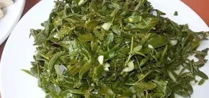 柳树芽怎么吃好吃