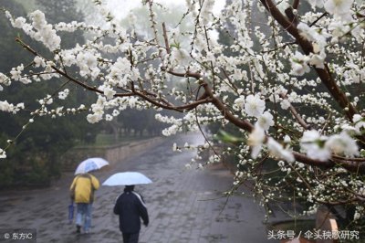 ​伞头秧歌唱词（诗歌）：喜犁田 曹继光作