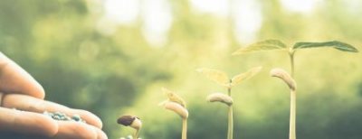 ​趣知识：九龙虫多长时间生殖一次九龙虫多长时间生殖