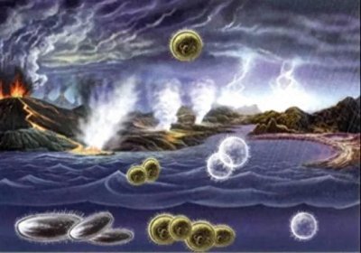 ​地球上本没有人，那么第一个人到底是怎么产生的？