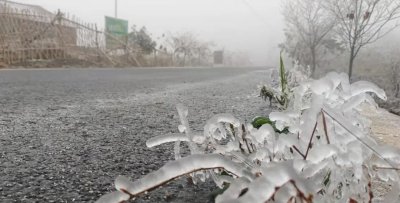 ​冻雨、冰冻与雪凝的区别