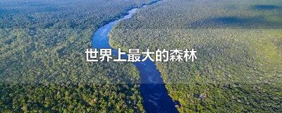 ​世界最大森林是什么 什么世界最大的森林