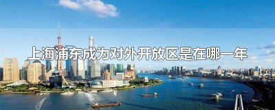 ​浦东新区对外开放时间 上海浦东新区的开放