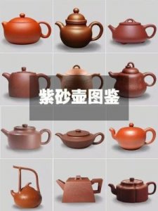 ​紫砂壶泡什么茶最好