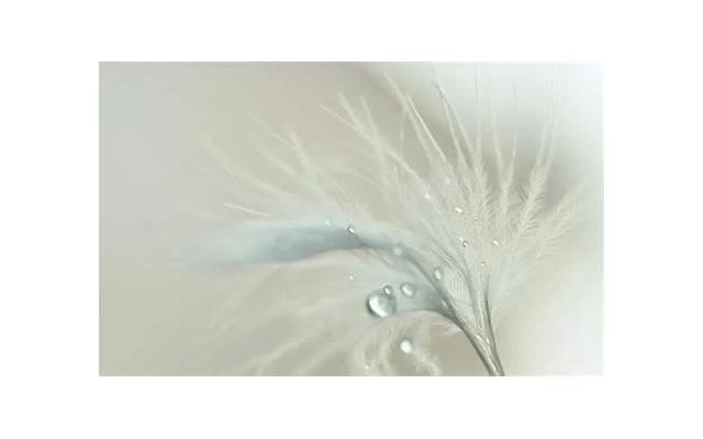  出差给女朋友带什么礼物