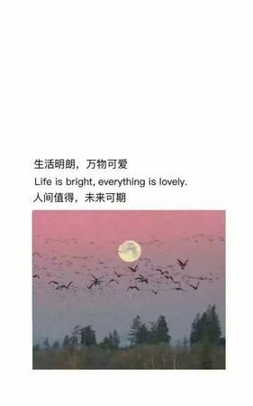 明朗的意思三年级