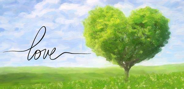 为什么我很憎恨我儿子呢