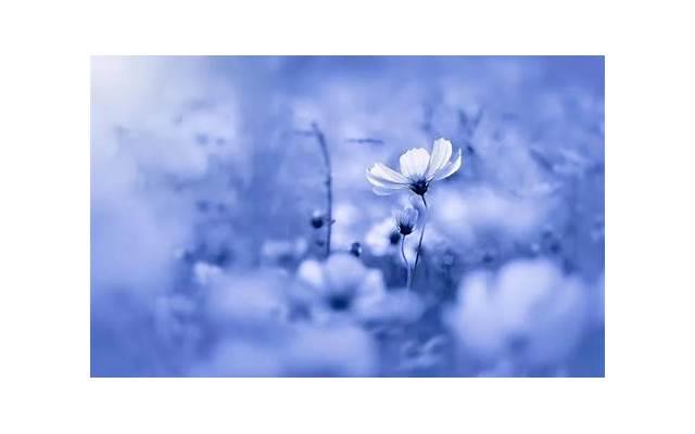 什么是男人味,女人喜欢有男人味的男人