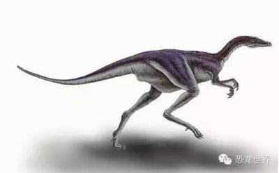 ​腔骨龙生活在哪个时期(骨头是空心的三叠纪肉食恐龙)