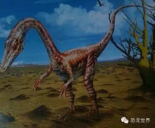 腔骨龙生活在哪个时期(骨头是空心的三叠纪肉食恐龙)