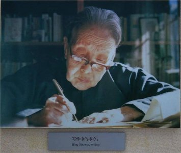 ​林徽因集美貌与才华一身，为何女人缘不好，杨绛和冰心作何评价？