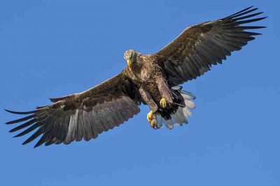 ​最酷qq名集锦（精选190个）