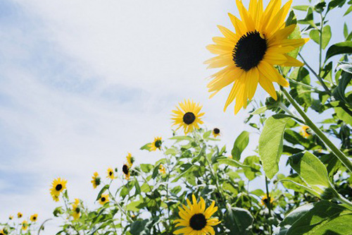 QQ有个性的霸气签名 独一无二霸气签名(精选90句)