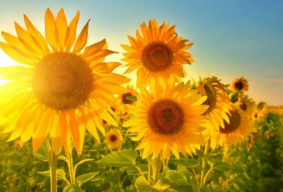 ​心里牵挂一个人的网名(102个)