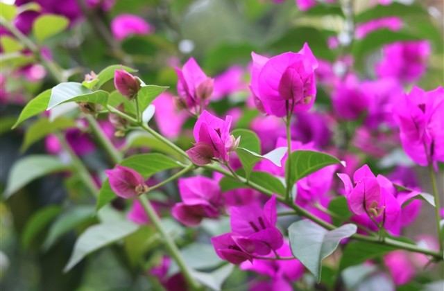 简短且好用的签名短句