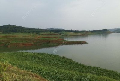 ​小浪底钓鱼,大红眼和鲤鱼连竿啥感觉?