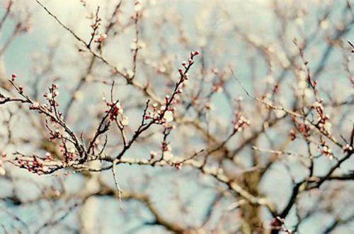 一句话人生感悟句子