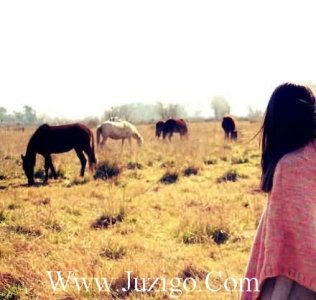 ​唯美的空间签名80句