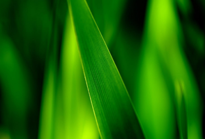 ​王者荣耀彩色昵称(73个)