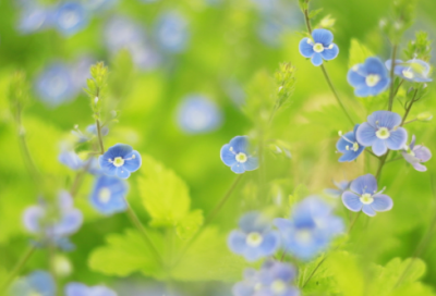 ​让人一眼就想笑的王者网名(精选65个)