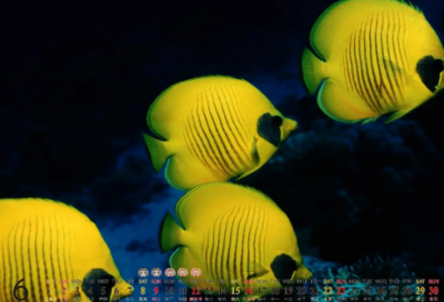 ​最新出炉的优质昵称大全(优选71个)