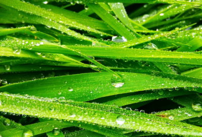 ​好听优美带月字的网名(精选74个)