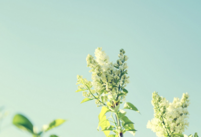 ​一切该结束了的昵称抖音网名(73个)