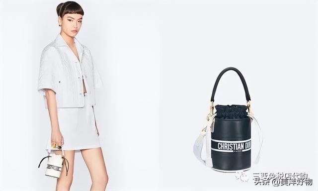 lv经典款水桶包（2022名牌手提水桶包推荐）(6)