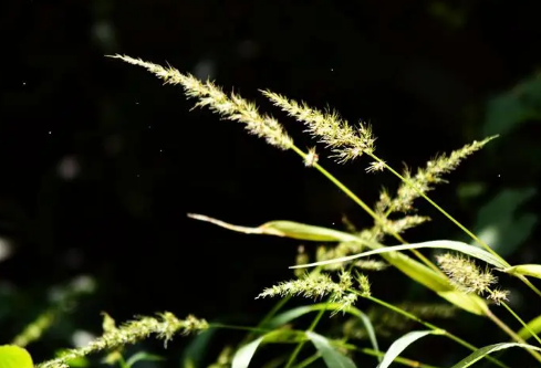 1692988903532647.png image.png