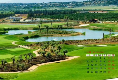 1692989069135657.png image.png