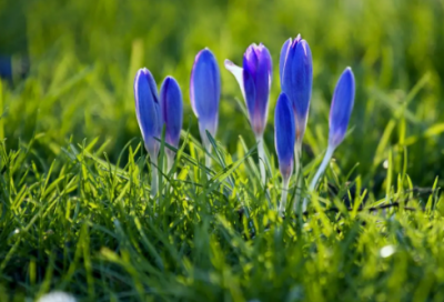 ​改个网名好听的网名(69个)