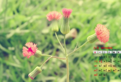 ​很有诗意的网名(精选77个)